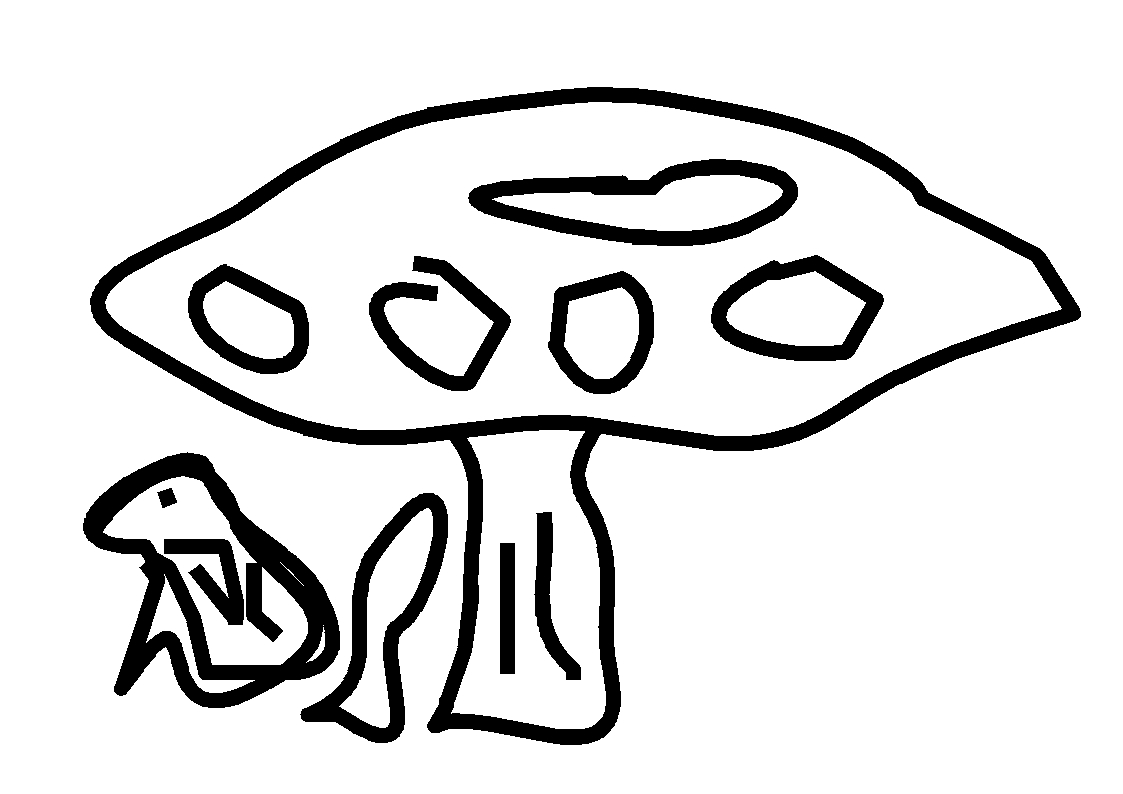 The Frog